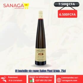 Vin Rouge Italien Pinot Grigio 75 CL.